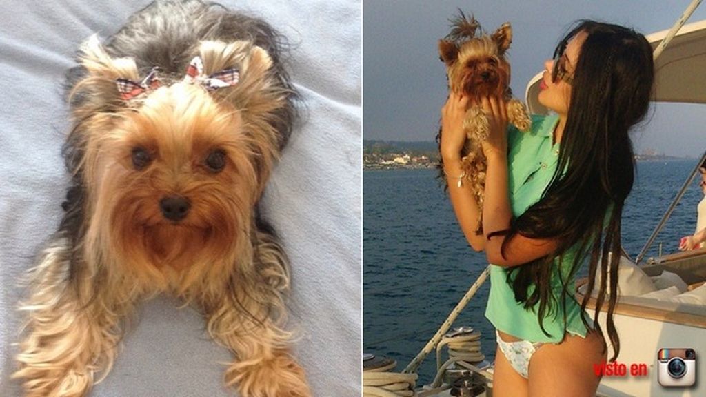 El delantero de Portugal se ha relajado unos días las aguas de Ibiza