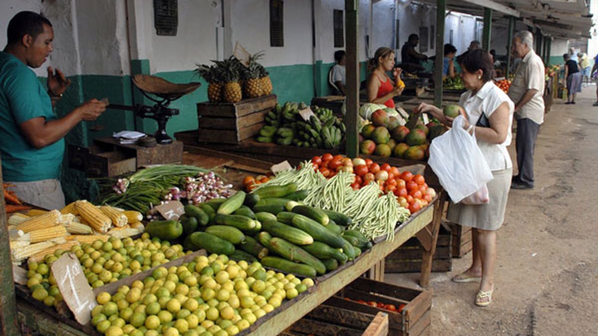 La cumbre de la FAO no ha conseguido medidas concretas contra la subida de los alimentos. FOTO: EFE