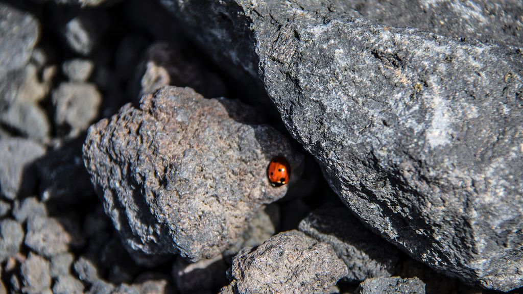 ASCENSIÓN AL ETNA