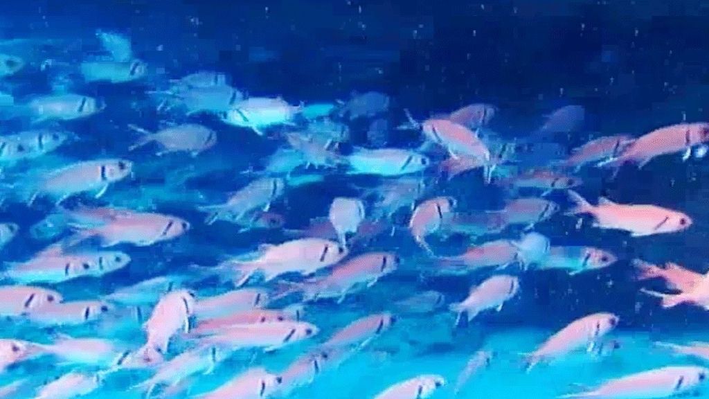 'Callejeros viajeros' playas de Cabo Verde