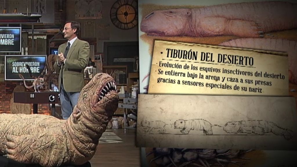 ¿Qué clase de criaturas habitarán la Tierra cuando el hombre se extinga?