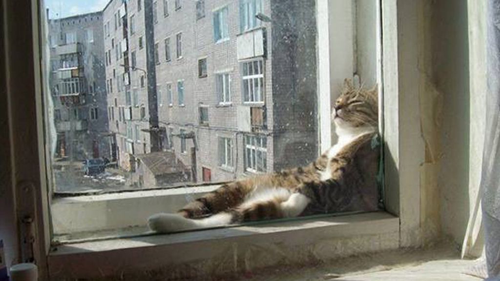 La siesta es sagrada, estés donde estés