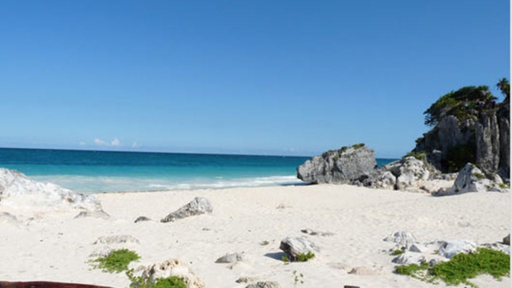 La luna de miel de Javier Palomares