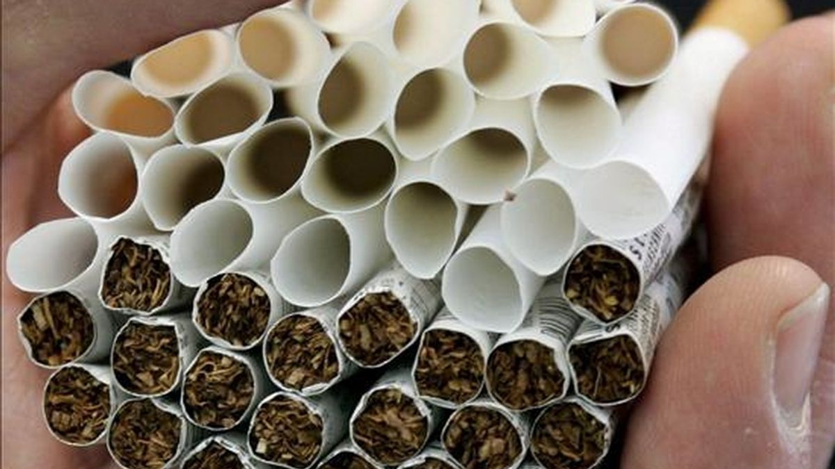 Coltabaco trabaja desde hace tres años en un plan de mejora de la calidad del tabaco producido en Colombia en aspectos como el manejo de semillas y tierras, así como la protección del ambiente y las condiciones laborales. EFE/Archivo