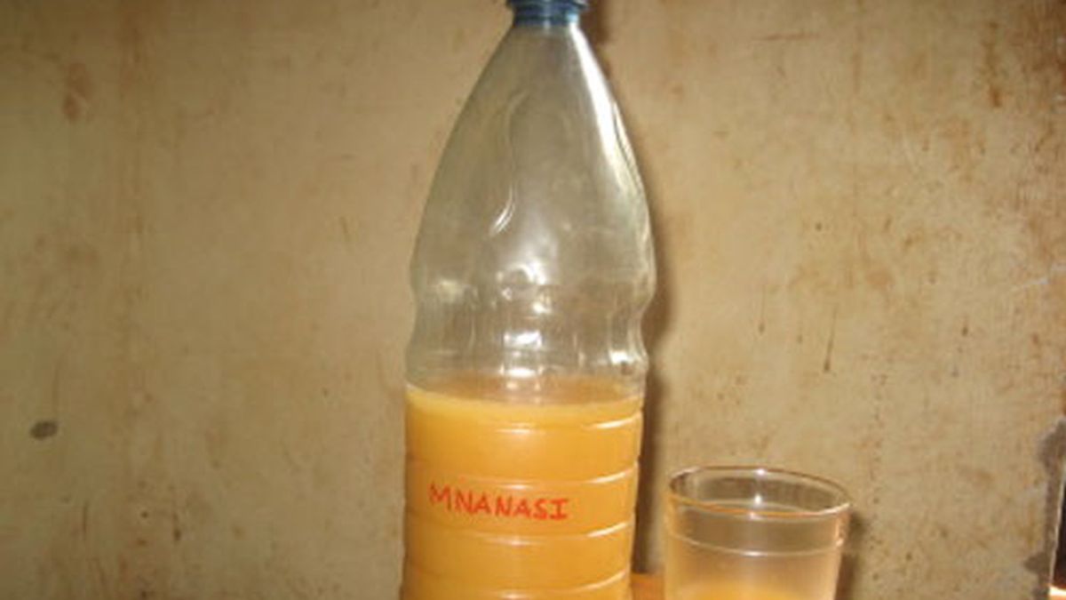 cerveza envenenada, Mozambique, bilis de cocodrilo, Songo