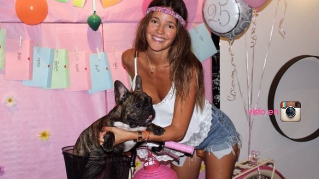 perritos