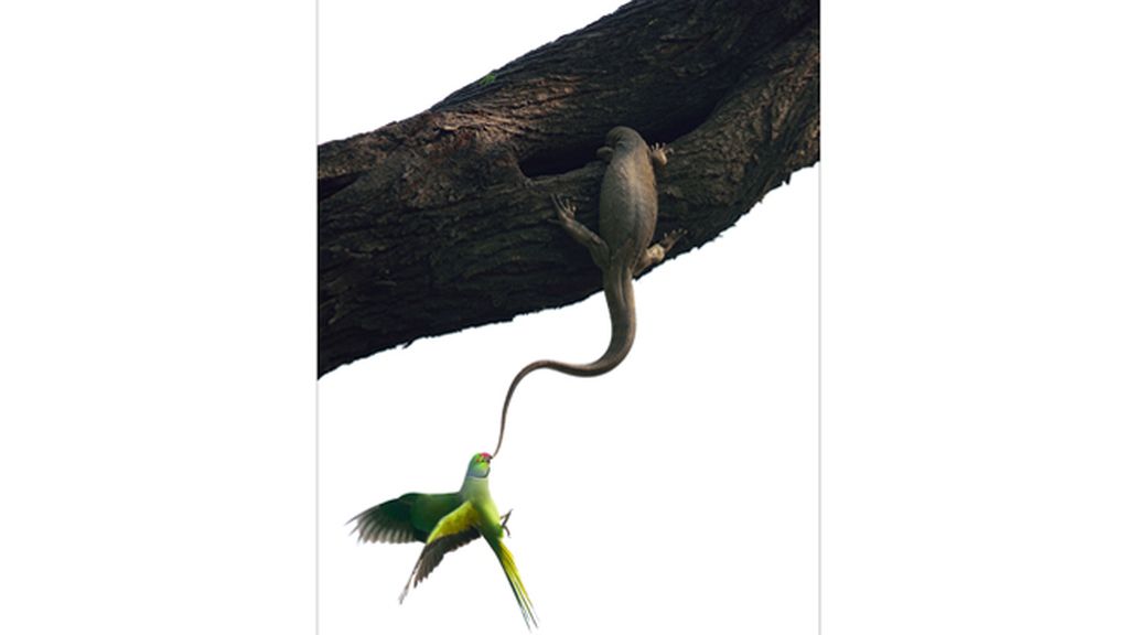 'Intento de desahucio', de Ganesh H Shank