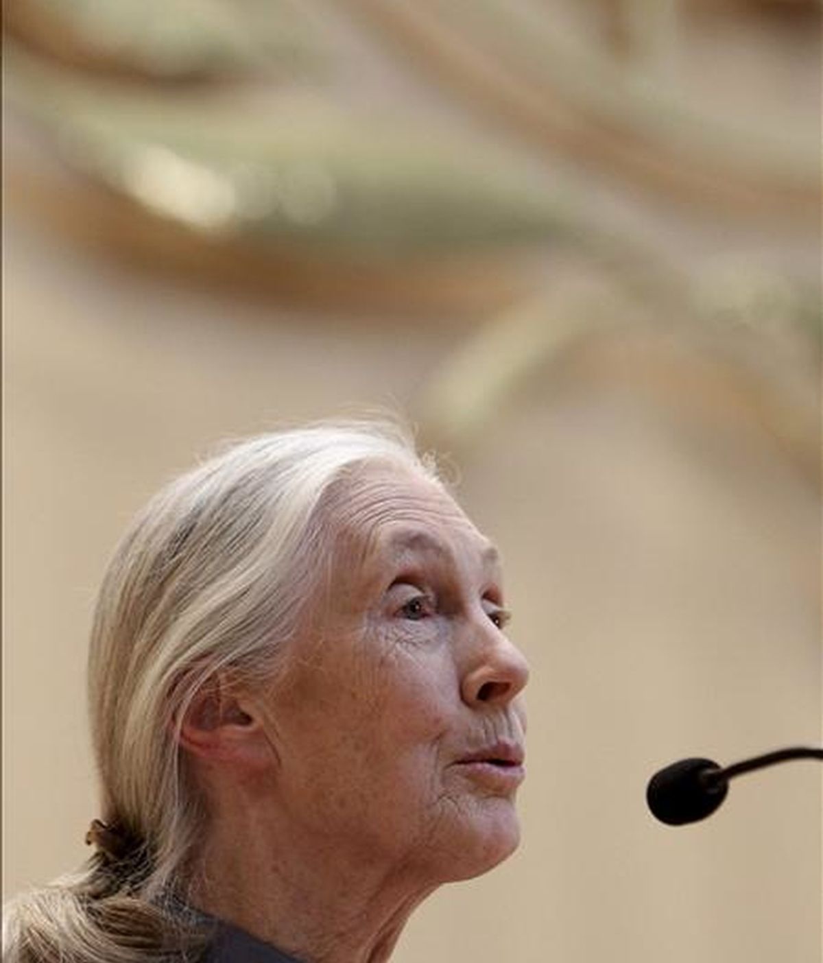 La antropóloga y primatóloga británica Jane Goodall. EFE/Archivo