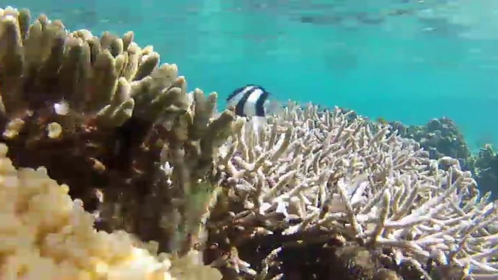 Madagascar, el dorado del Índico