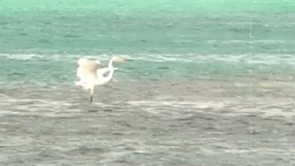 Puerto Rico, la isla del encanto