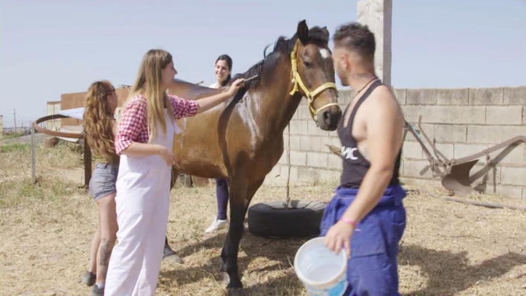 Granjero busca esposa promo