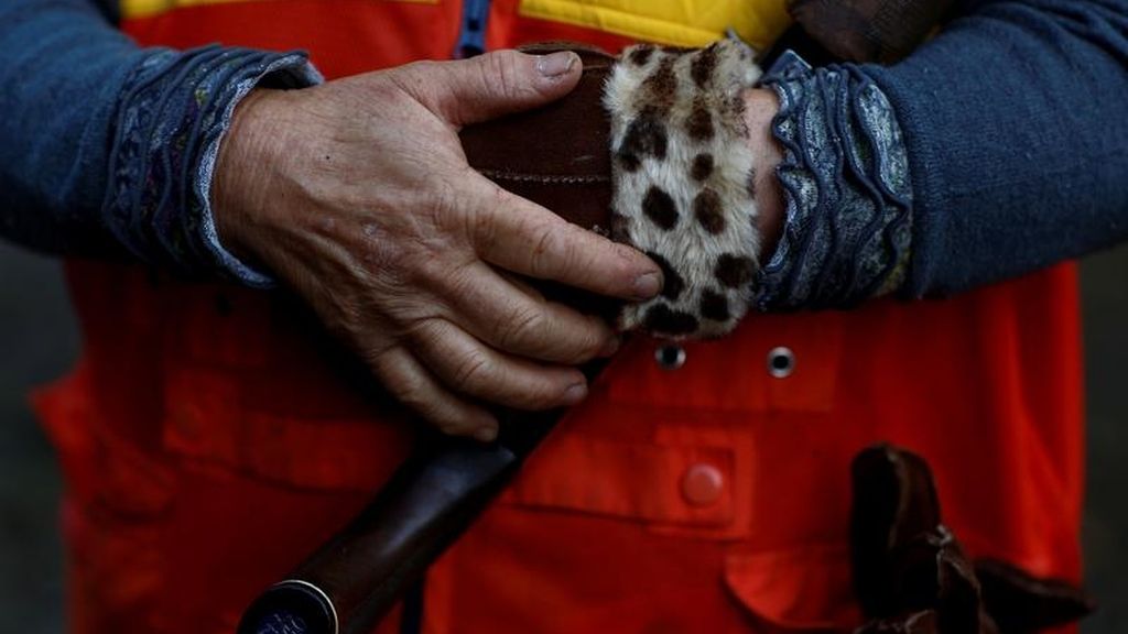 Caza de ciervos en Japón