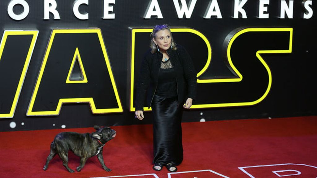 Todos echaremos de menos a Carrie Fisher, pero su perro Gary más: así era su relación