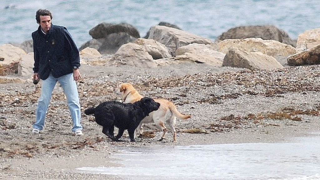 El PSOE de Marbella denunciará a Aznar por llevar perros sueltos en la playa
