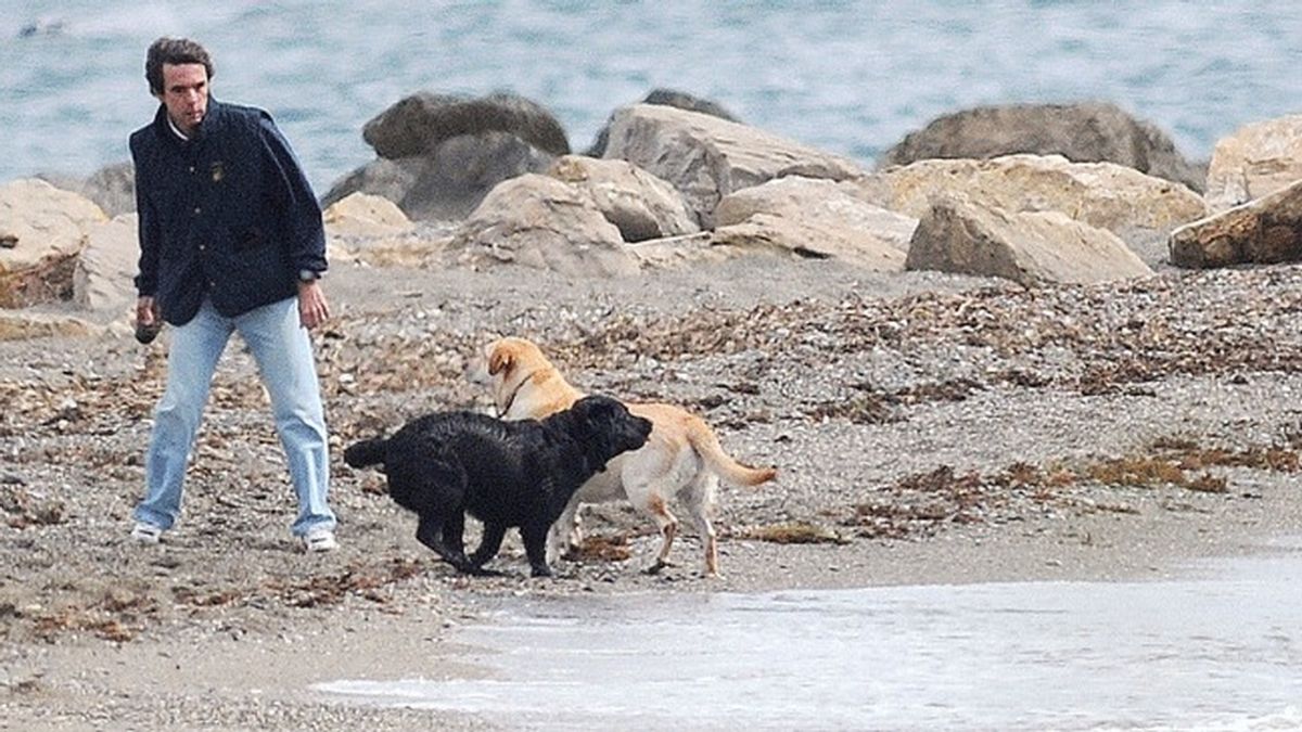 El PSOE de Marbella denunciará a Aznar por llevar perros sueltos en la playa