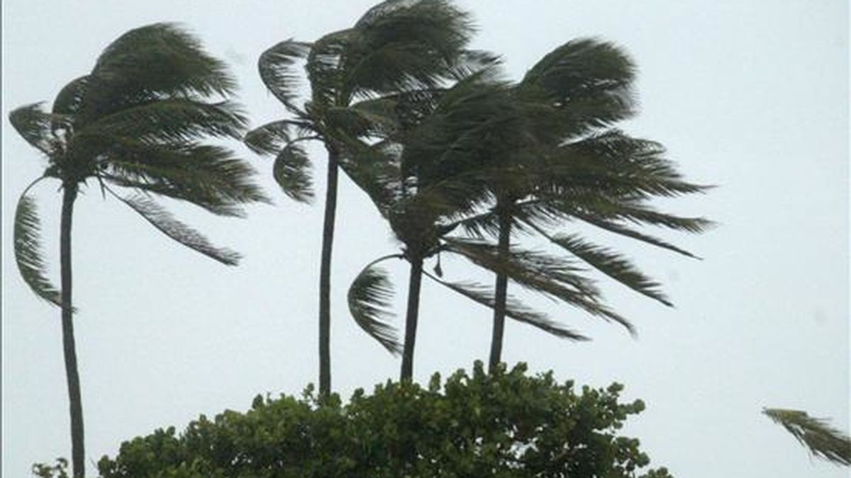 Una depresión tropical se convierte en tormenta cuando sus vientos máximos sostenidos alcanzan los 63 kilómetros por hora. EFE/Archivo