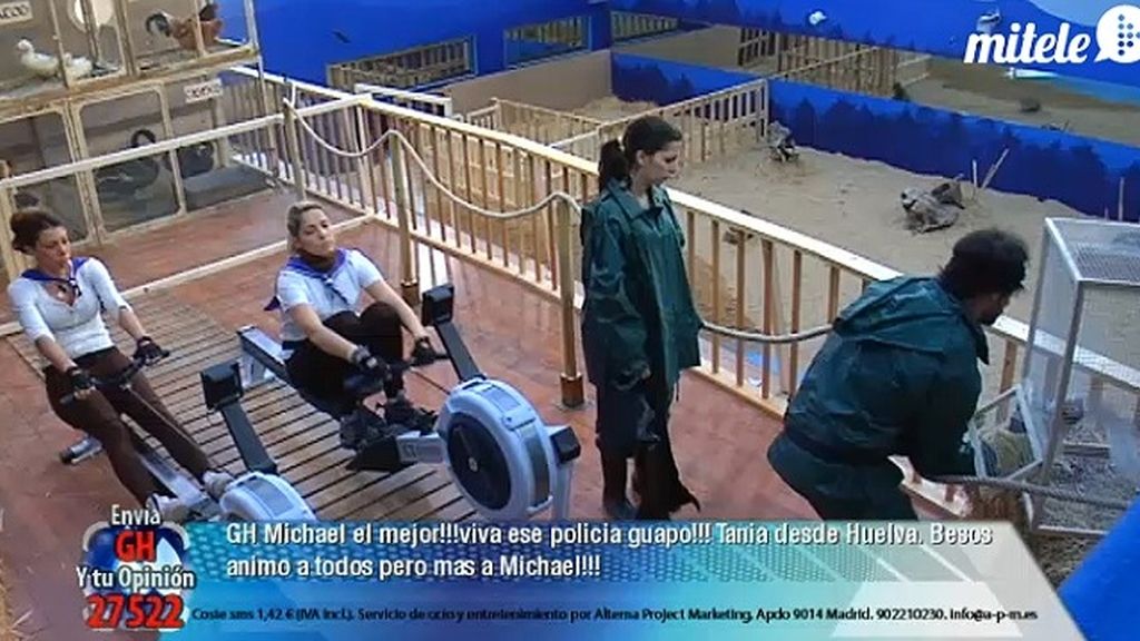 Las tareas domésticas,  uno de los platos fuertes de la convivencia
