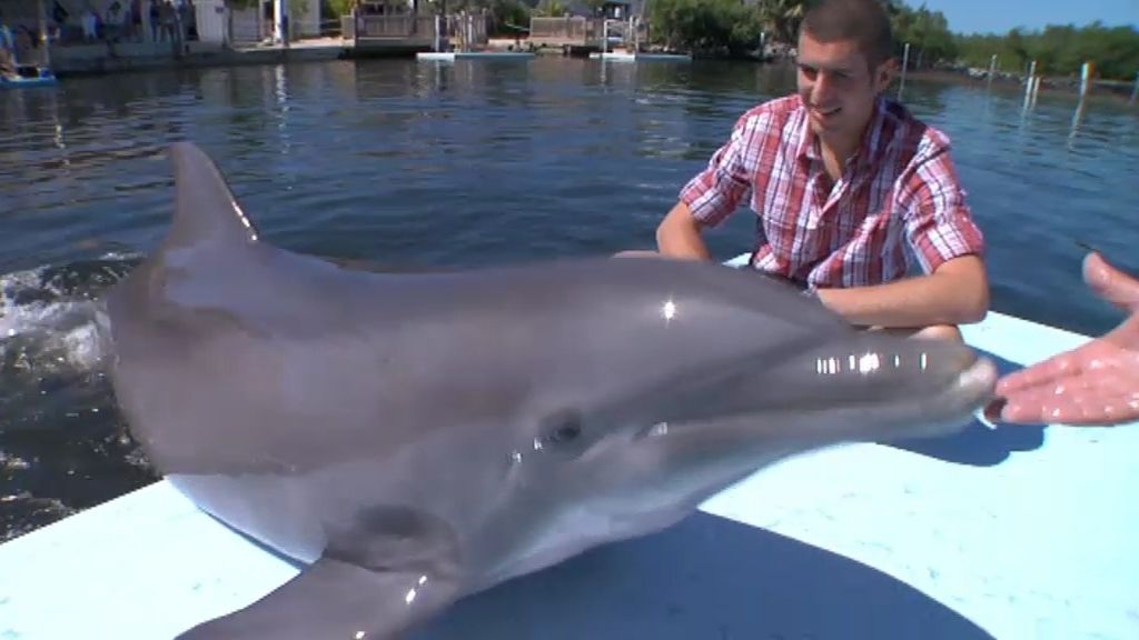 Cayos de Florida, un puente hacia el paraíso