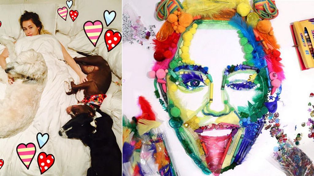 Mundo 'rainbow', tarta de perro, glitter... Un cumpleaños de Miley 100% estilo Cyrus