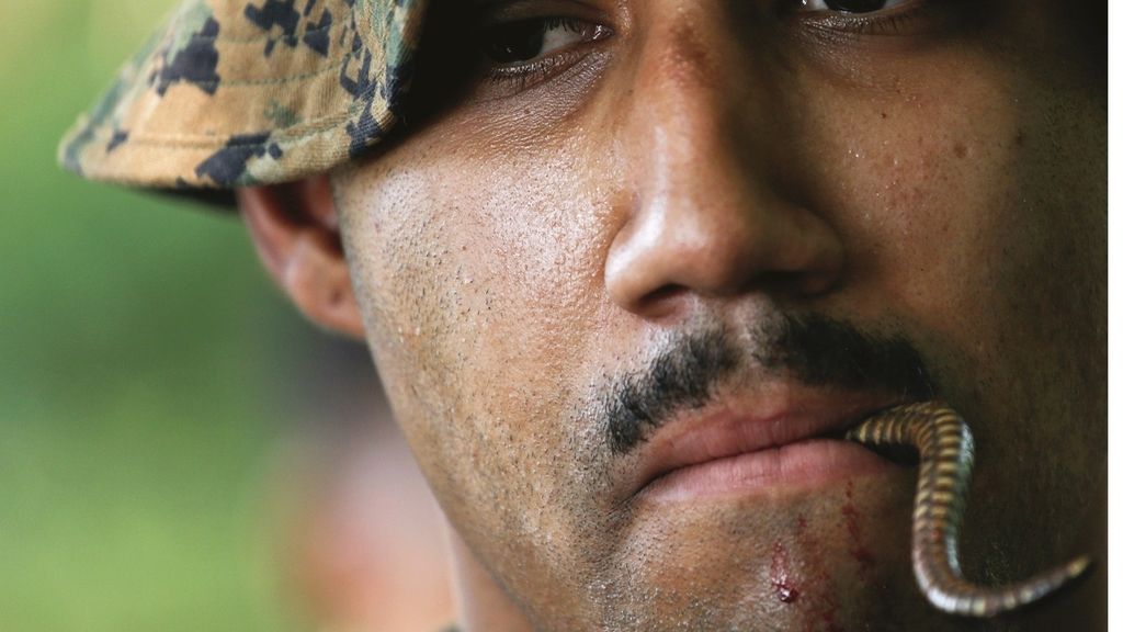 La sangre de cobra como técnica militar de hidratación