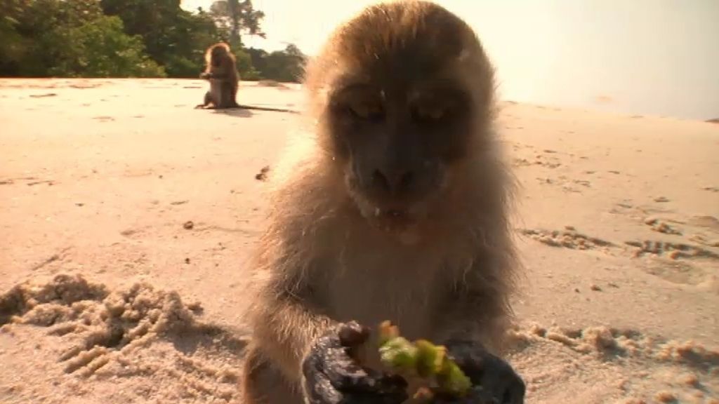 El mar de Andamán, el tesoro de Tailandia