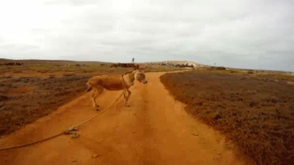 'Callejeros Viajeros' especial playas de Cabo Verde