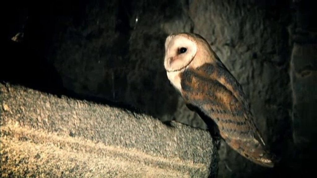 Enigmas y misterior del T07xP22