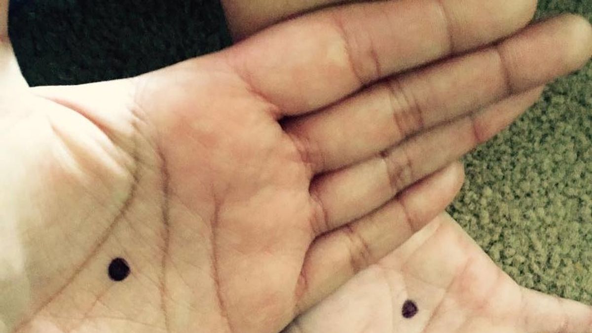 La campaña viral "Black Dot", que ofrece a las víctimas de violencia doméstica una nueva forma de obtener ayuda a través delas redes sociales, revoluciona internet en pocos días