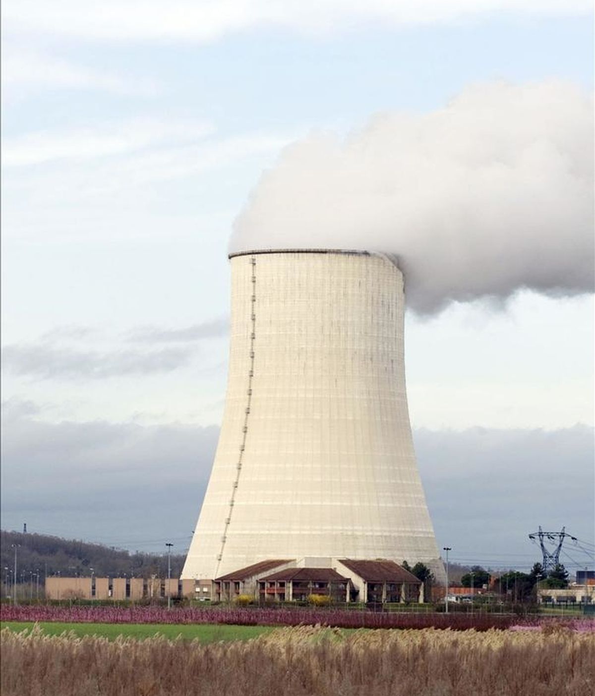 Antonio Hernández García, director general de Política Energética de España, pidió hoy que las pruebas de resistencia previstas por la Unión Europea para certificar la seguridad de las centrales nucleares sean muy estrictas. EFE/Archivo