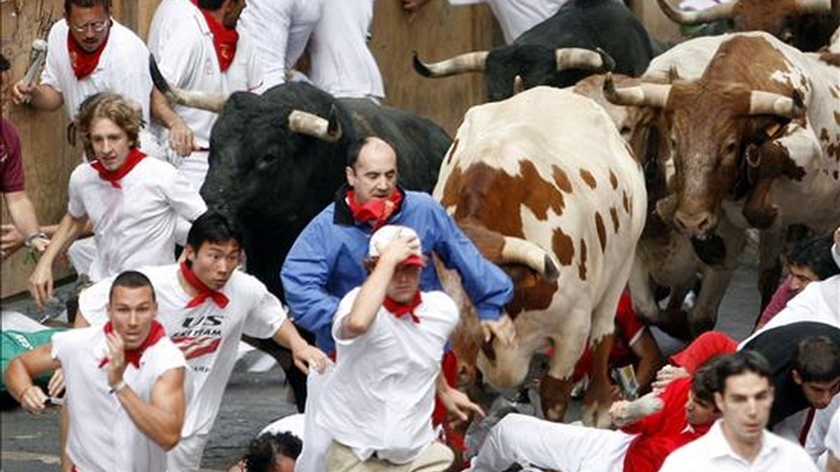 Varios mozos caen entre los astados de la ganadería de Miura durante un encierro de unas fiestas de San Fermín. EFE/Archivo