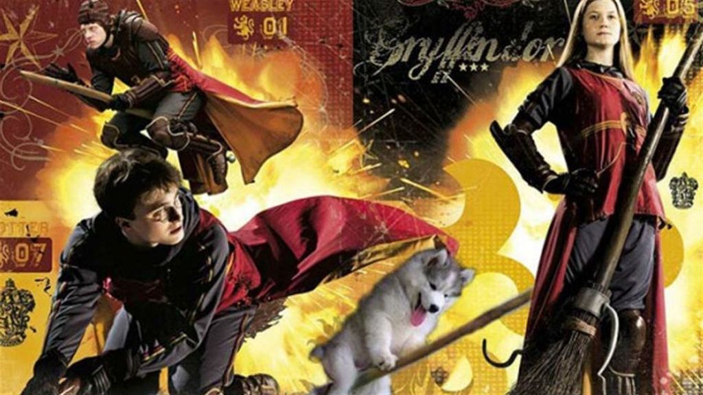 El Husky que se ha convertido en el rey de internet