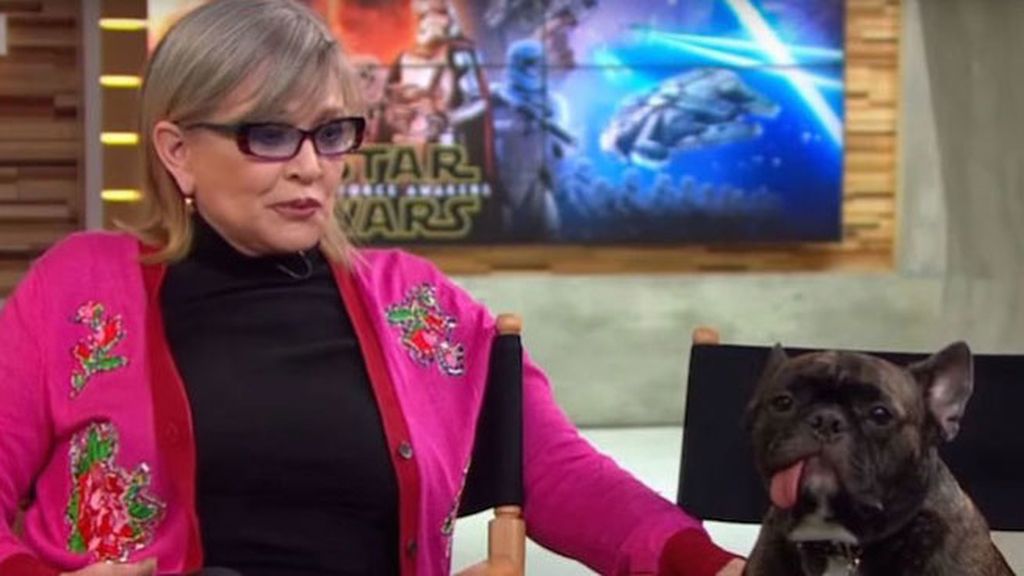 Todos echaremos de menos a Carrie Fisher, pero su perro Gary más: así era su relación