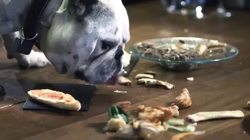 Mad se presenta en la web