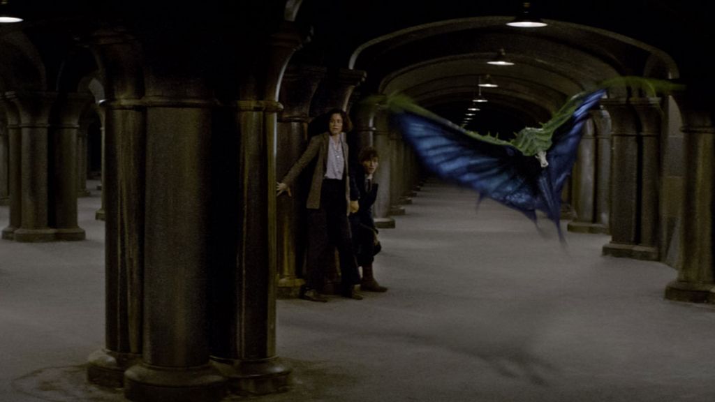 'Animales fantásticos y dónde encontrarlos' es la nueva película del universo 'Harry Potter'