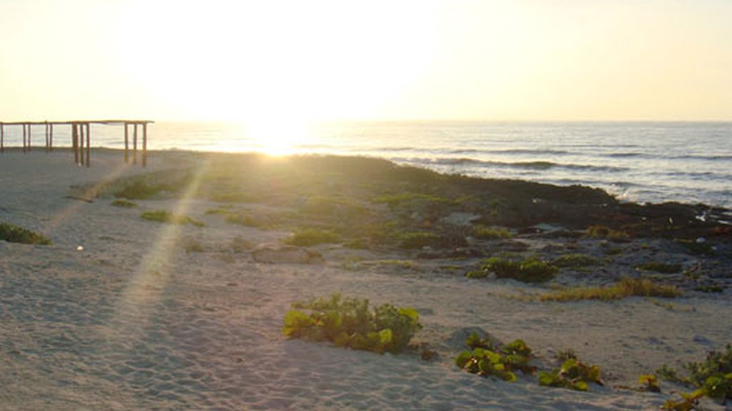 La luna de miel de Javier Palomares