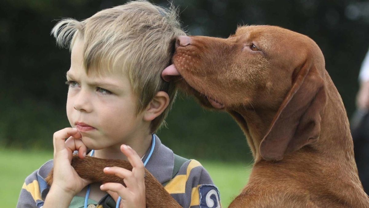 Un niño junto con su perro