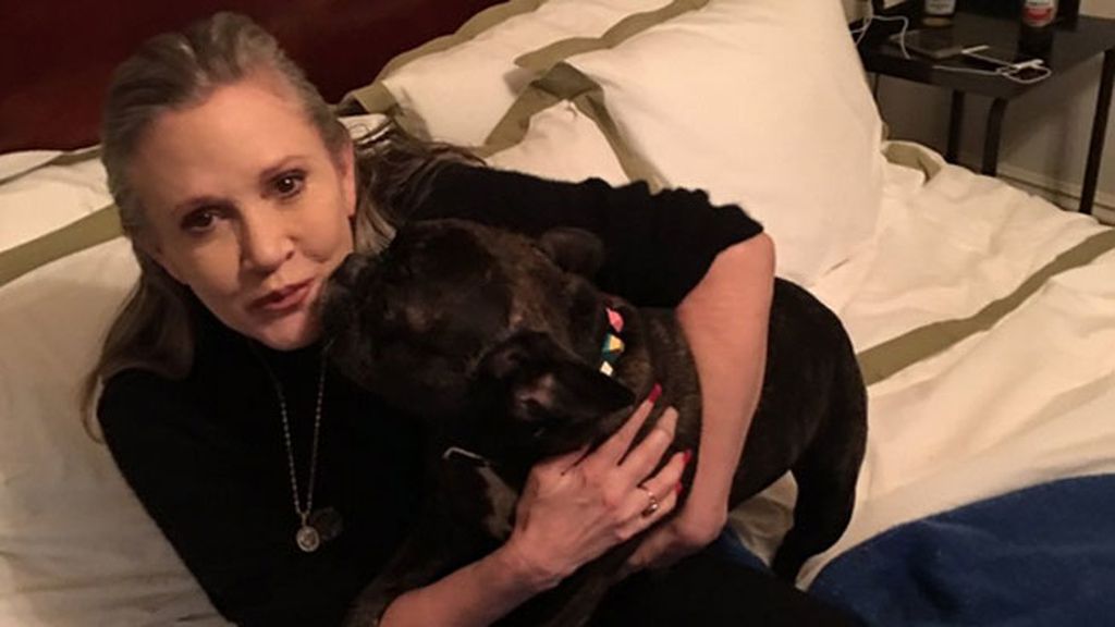 Todos echaremos de menos a Carrie Fisher, pero su perro Gary más: así era su relación