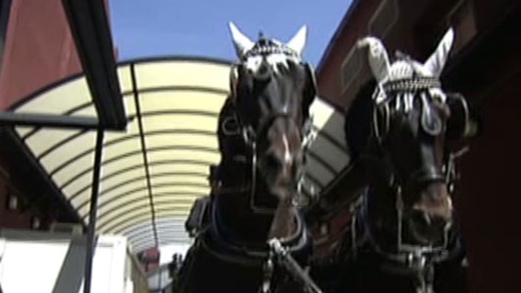 'Sálvame' cumple años y lo celebra con su particular Feria de Abril