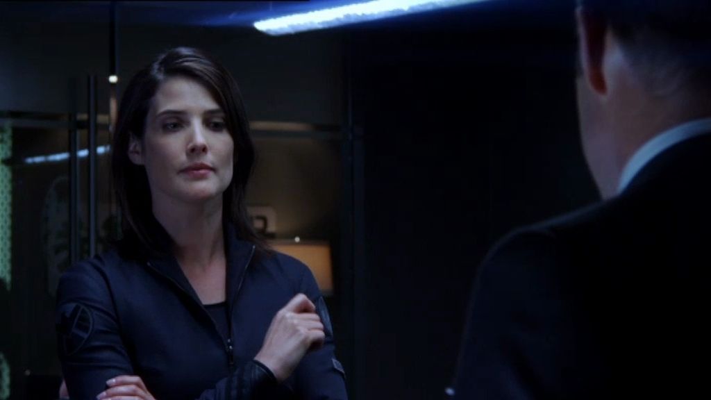 Cobie Smulders, de 'Cómo conocí a vuestra madre' a 'Marvel Agentes de S.H.I.E.L.D.'