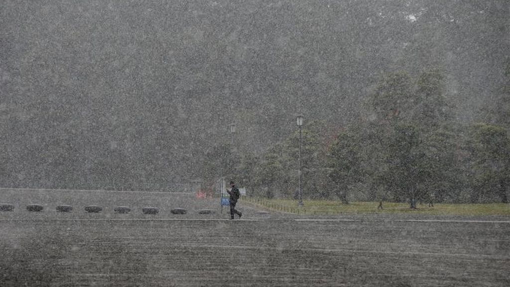 Tokio vive su primera nevada en un mes de noviembre en más de medio siglo