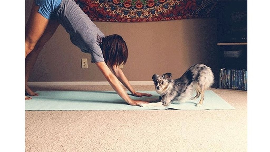 Algunos meditan y se relajan en posturas muy 'zen'