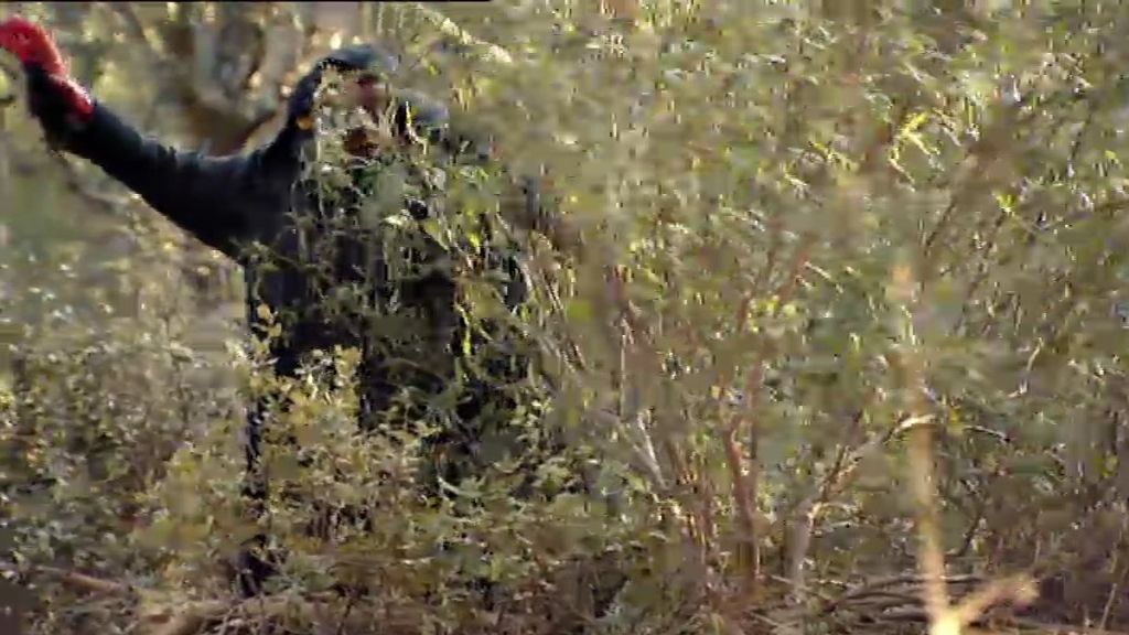 Chema se disfraza de monstruo para asustar a Luisma y a Machu