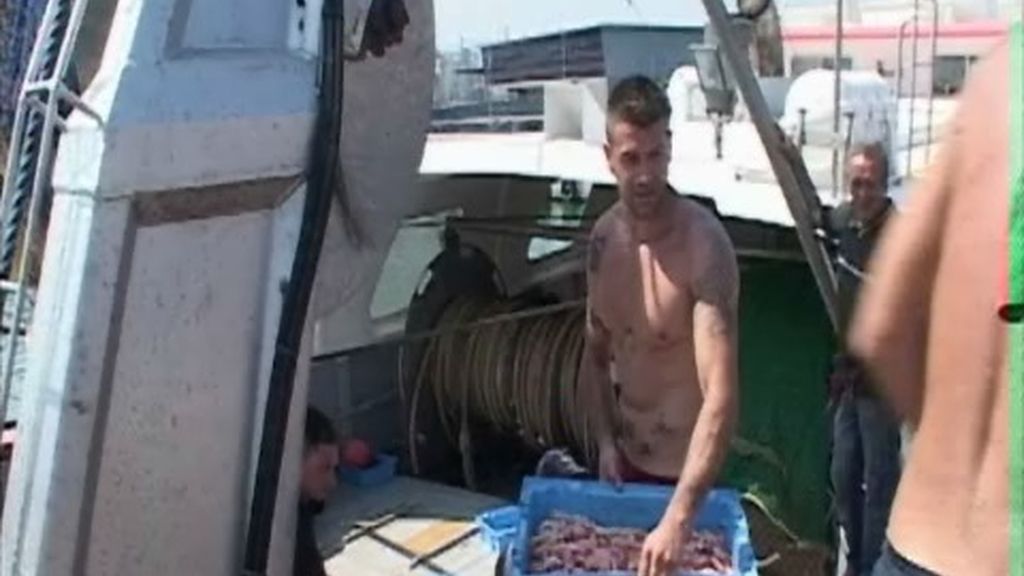 Un grupo de operarios descarga material en el puerto