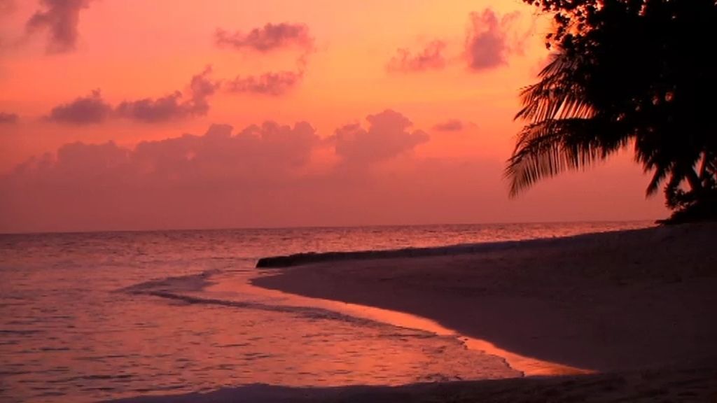 Maldivas, un paraíso bajo el mar