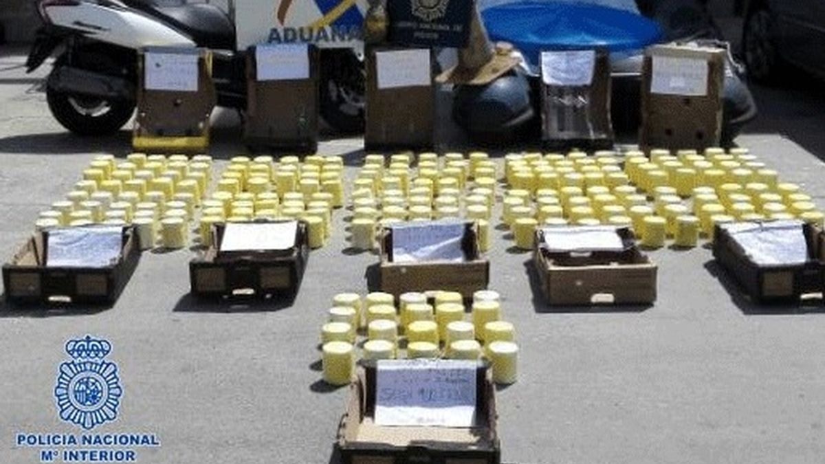 Intervenidos en Algeciras 200 kilos de cocaína ocultos en piñas frescas llegadas de Centroamérica