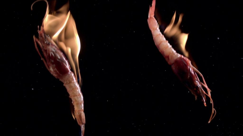 Dabiz Muñoz llega a Cuatro con 'El Xef'