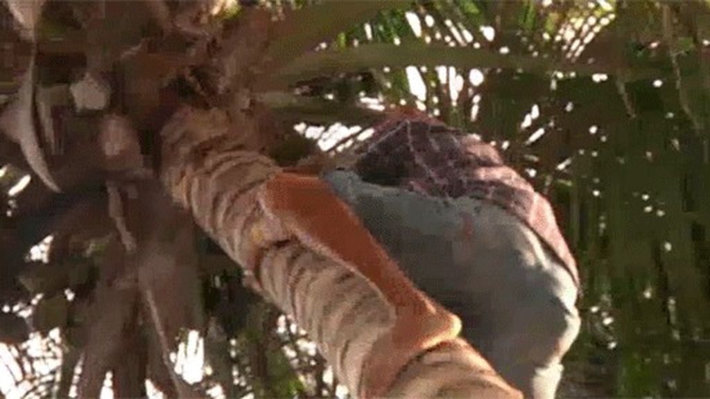 Puerto Rico, la isla del encanto