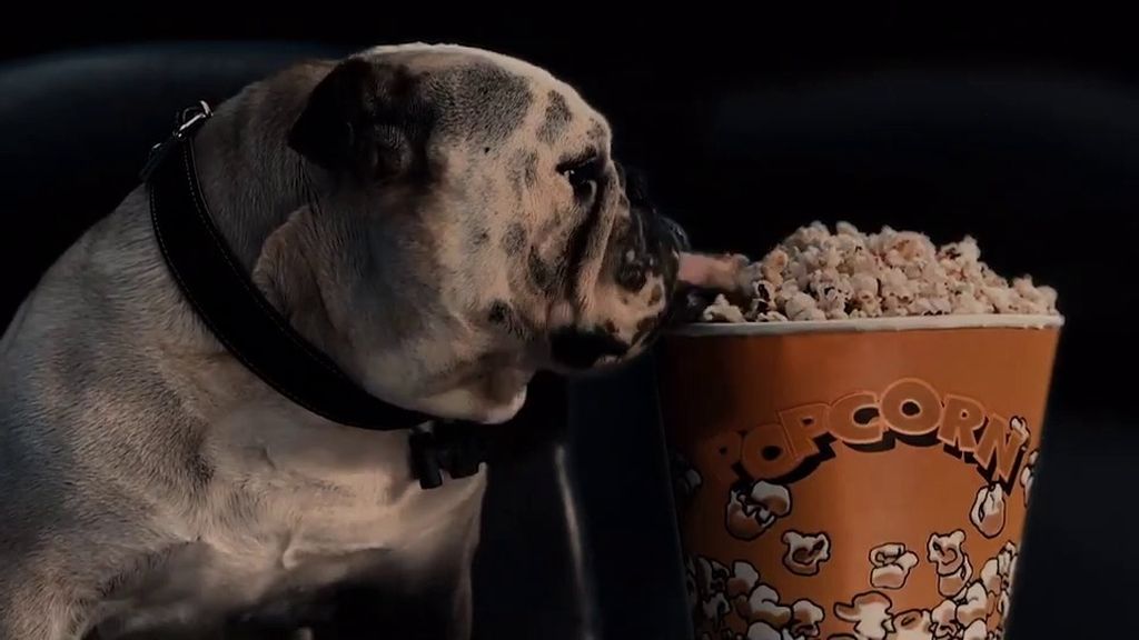 Mad se presenta en la web