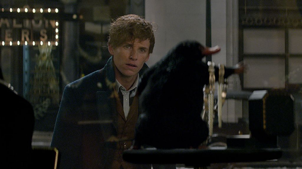 'Animales fantásticos y dónde encontrarlos' es la nueva película del universo 'Harry Potter'