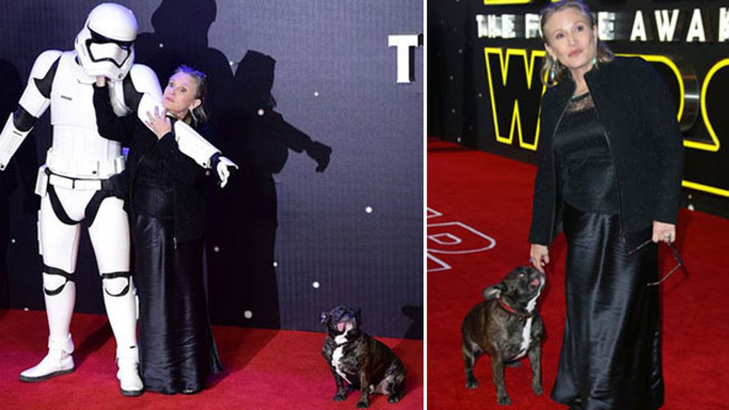 Todos echaremos de menos a Carrie Fisher, pero su perro Gary más: así era su relación
